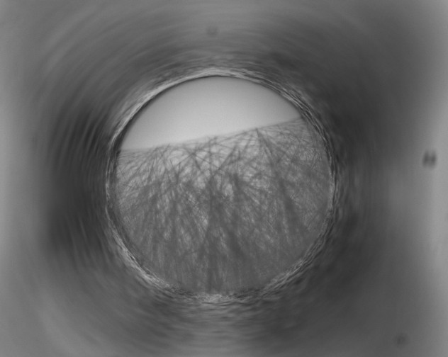 X0000116800098200912181127