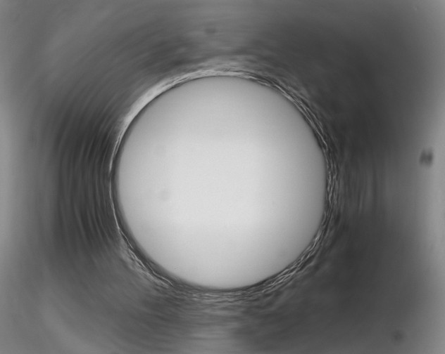 X0000116800100200912181127