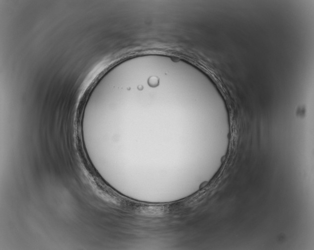 X0000116800102200912181127