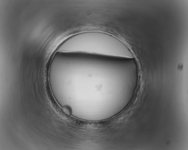 X0000116800103200912181127