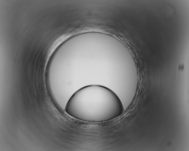 X0000116800104200912181127