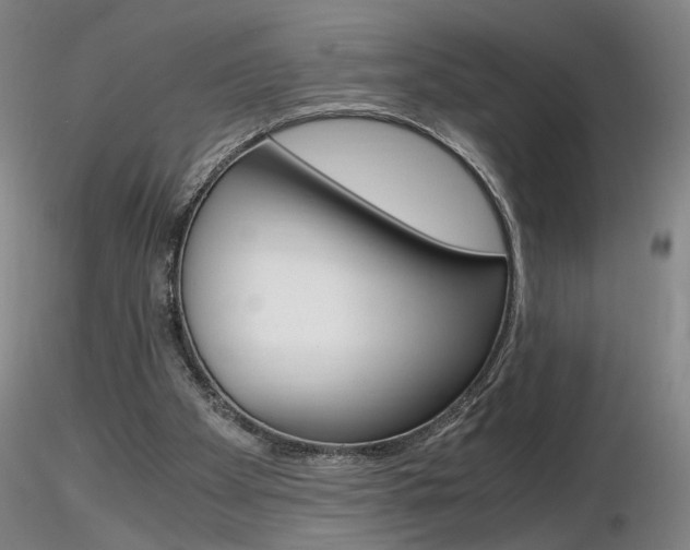 X0000116800105200912181127