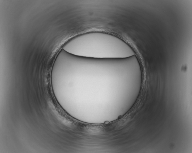 X0000116800106200912181127