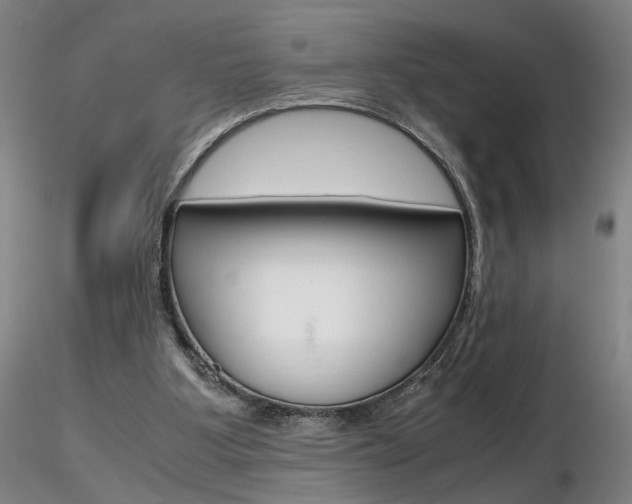 X0000116800107200912181127