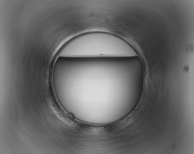 X0000116800108200912181127