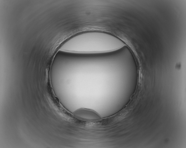 X0000116800109200912181127
