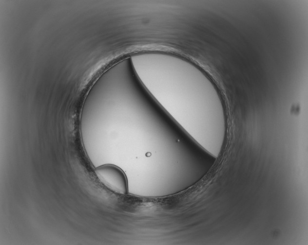 X0000116800111200912181127