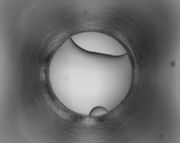 X0000116800114200912181127