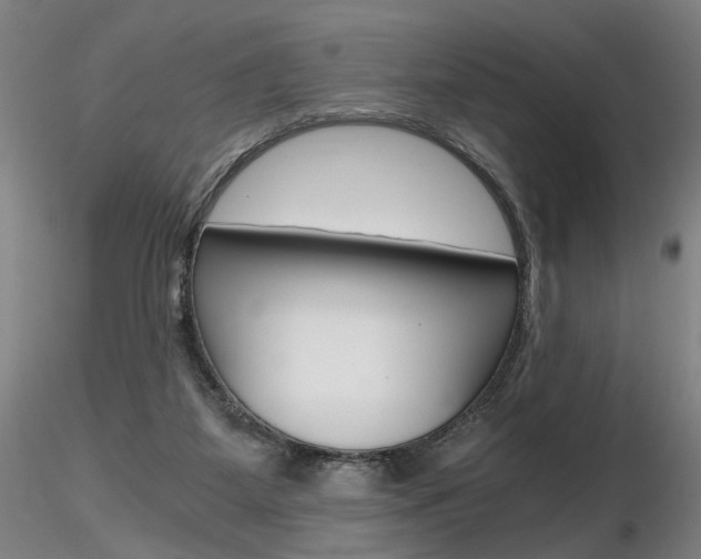 X0000116800115200912181127