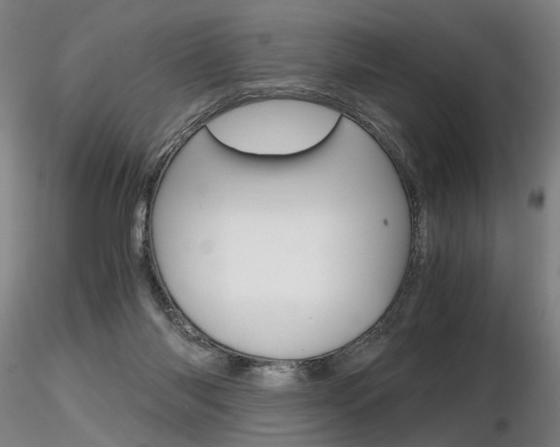 X0000116800118200912181127