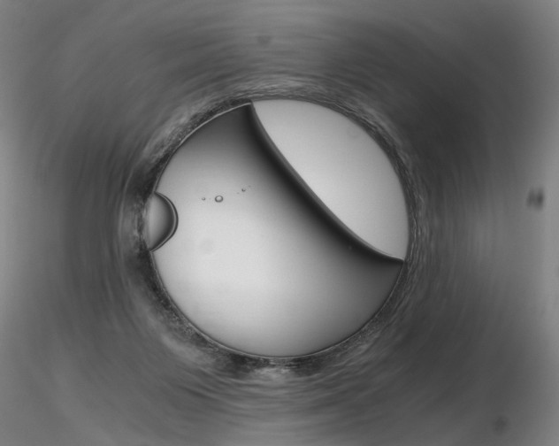 X0000116800119200912181127