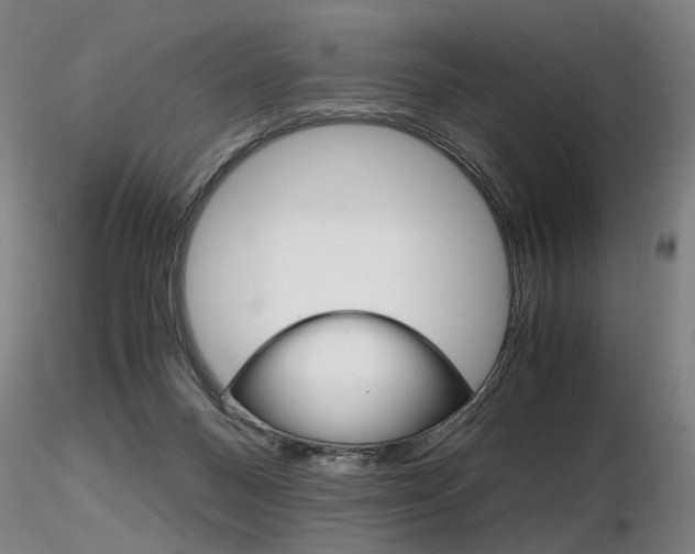 X0000116800120200912181127