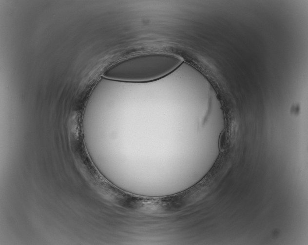 X0000116800121200912181127