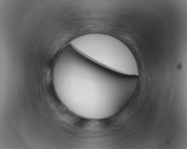 X0000116800123200912181127