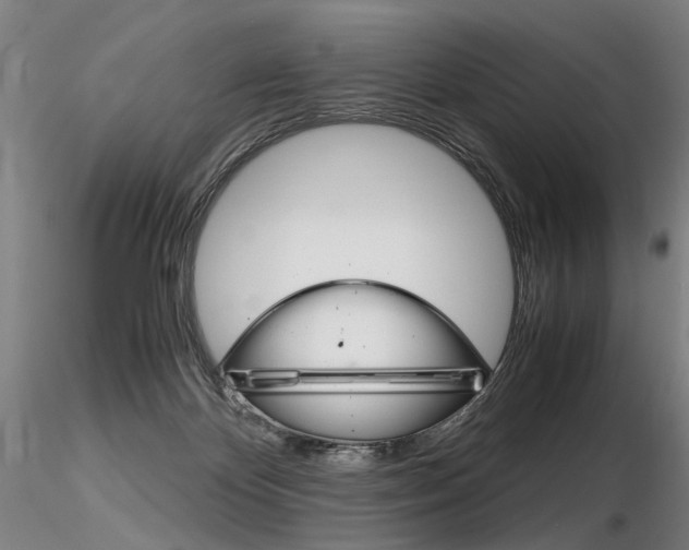 X0000116800124200912181127