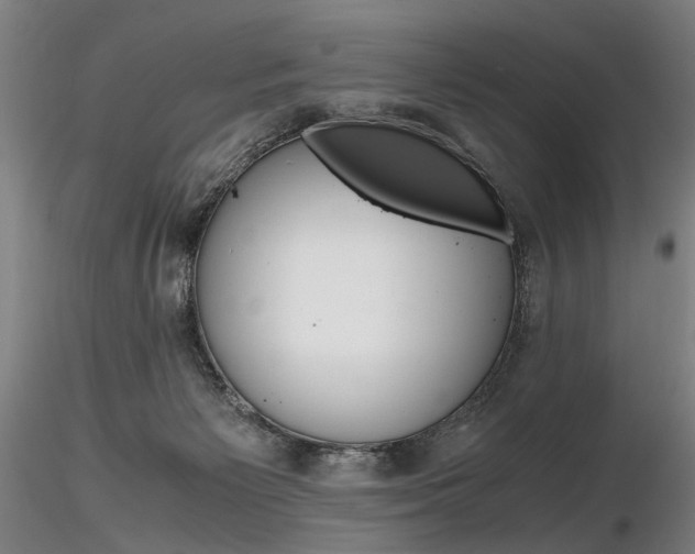 X0000116800125200912181127