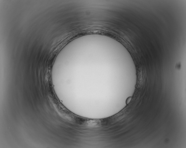 X0000116800126200912181127