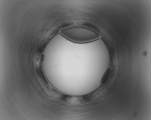 X0000116800129200912181127