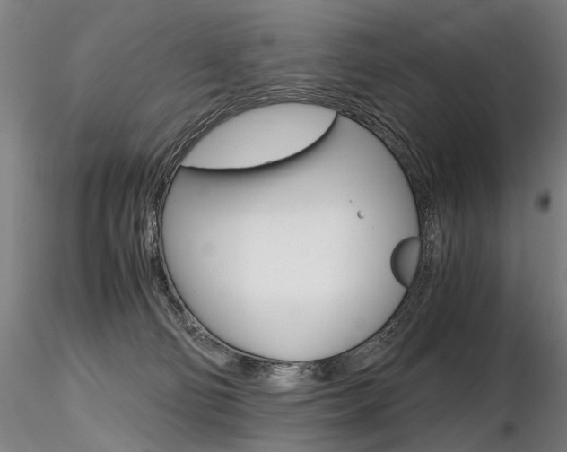 X0000116800130200912181127