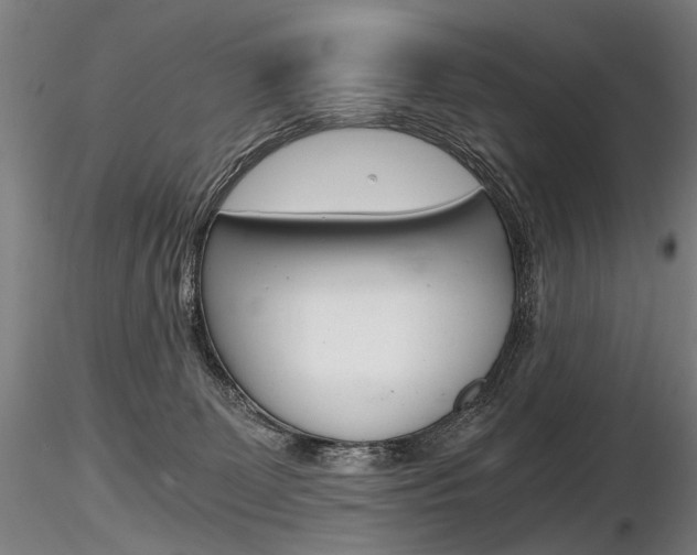 X0000116800131200912181127