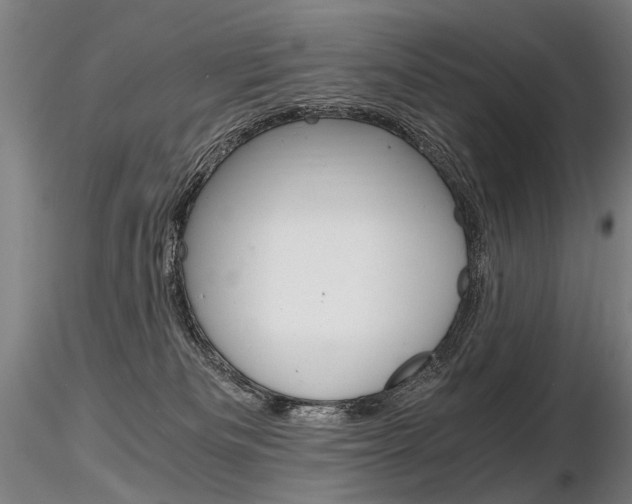 X0000116800133200912181127