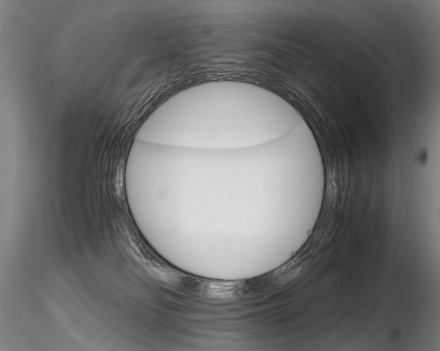 X0000116800134200912181127