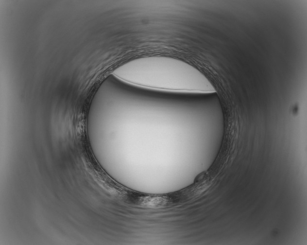 X0000116800135200912181127
