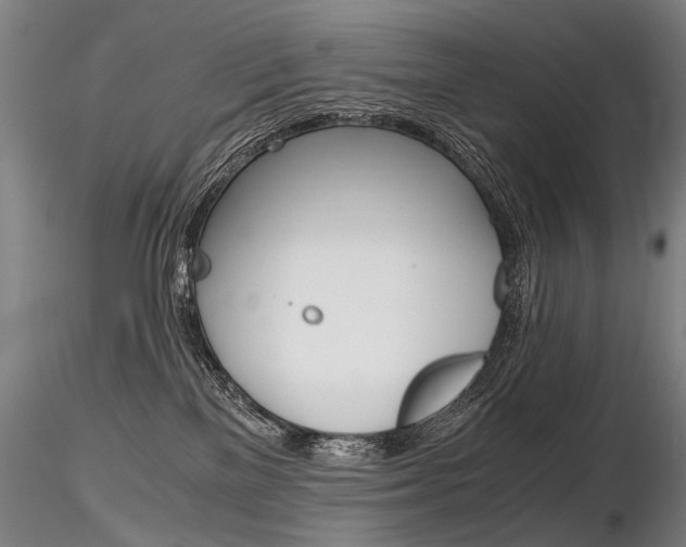 X0000116800137200912181127