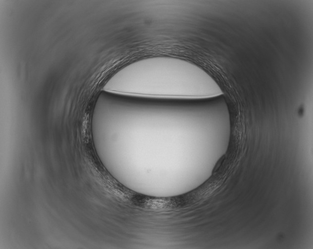 X0000116800139200912181126