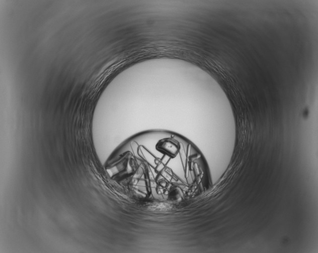 X0000116800140200912181126