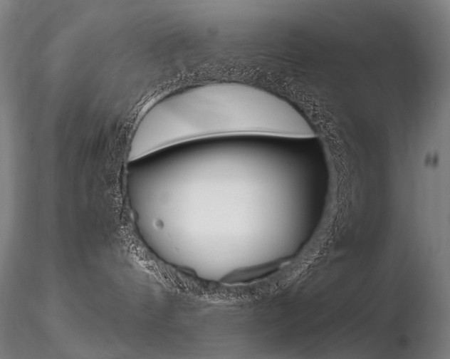 X0000116800144200912181126