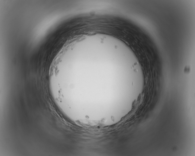 X0000116800146200912181126