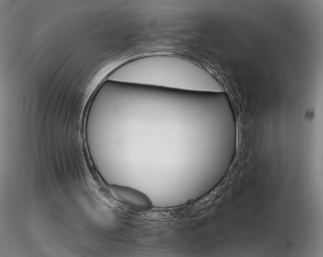 X0000116800147200912181126