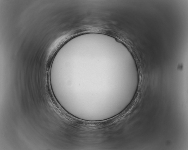 X0000116800149200912181126