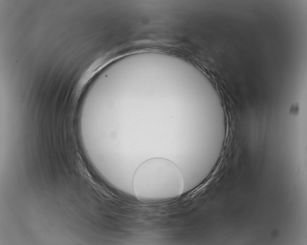 X0000116800150200912181126