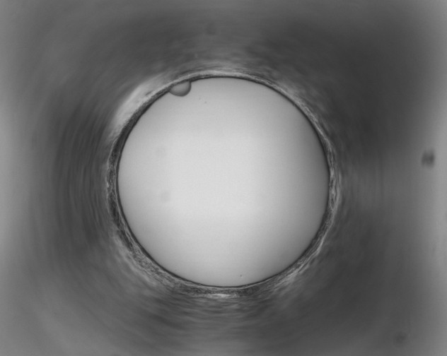 X0000116800151200912181126