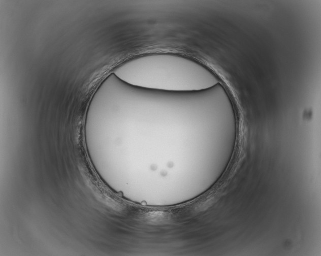 X0000116800153200912181126