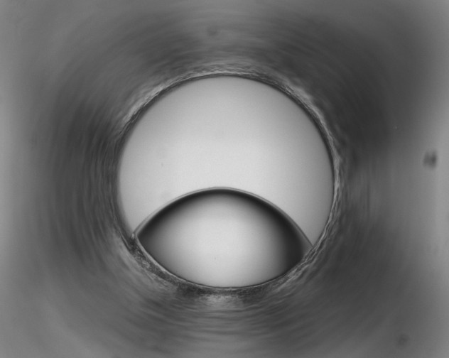 X0000116800154200912181126