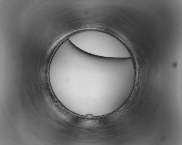 X0000116800155200912181126