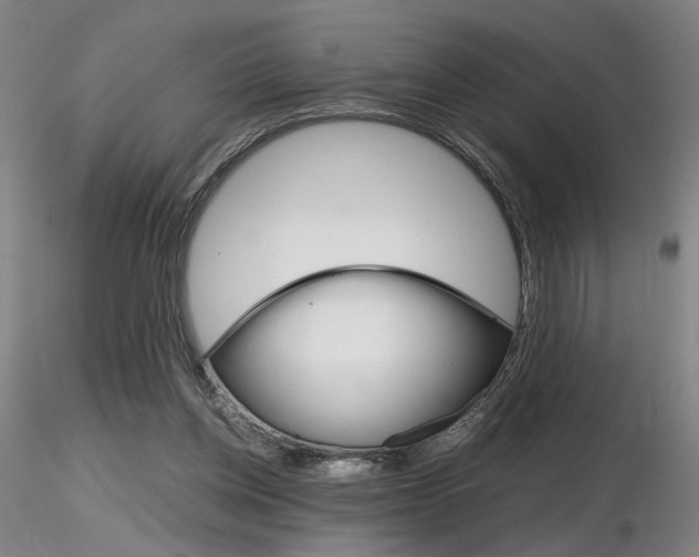 X0000116800158200912181126