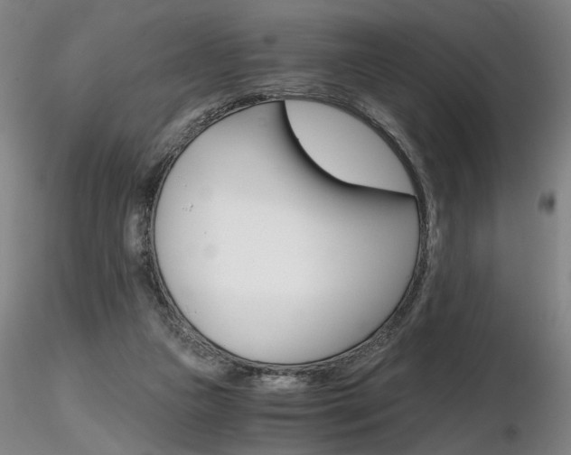 X0000116800161200912181126