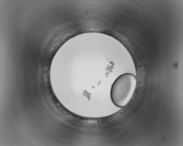 X0000116800162200912181126