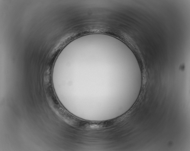 X0000116800163200912181126