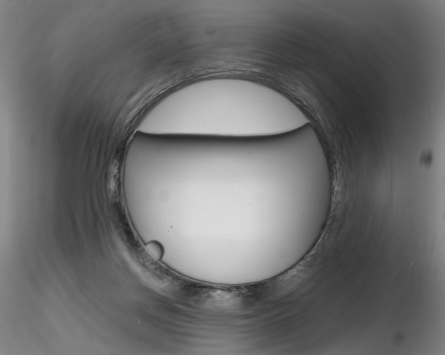 X0000116800166200912181126