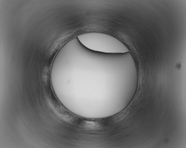 X0000116800167200912181126