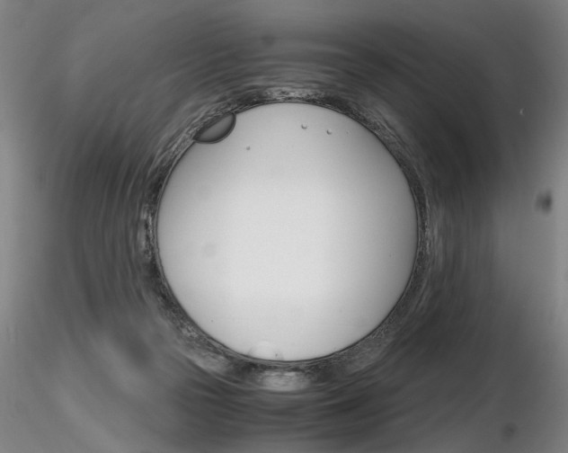 X0000116800169200912181126