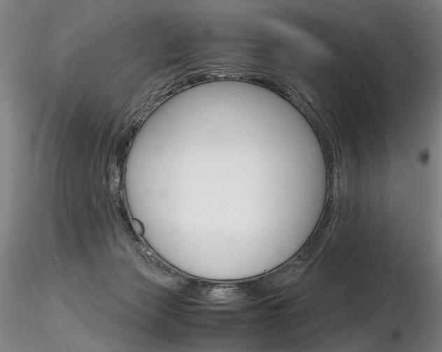 X0000116800173200912181126