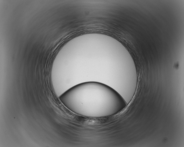 X0000116800174200912181126