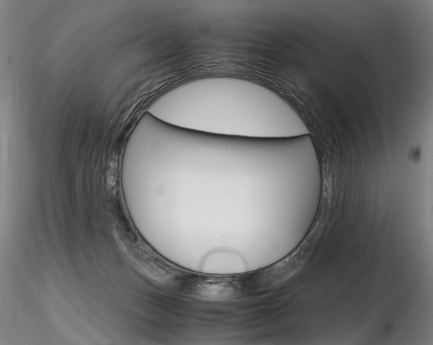 X0000116800175200912181126