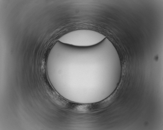 X0000116800178200912181126